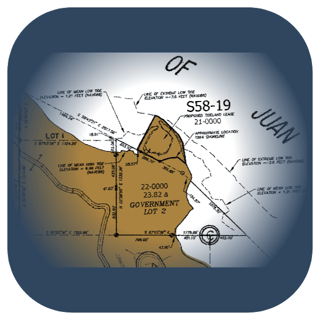 Auditor Document Search