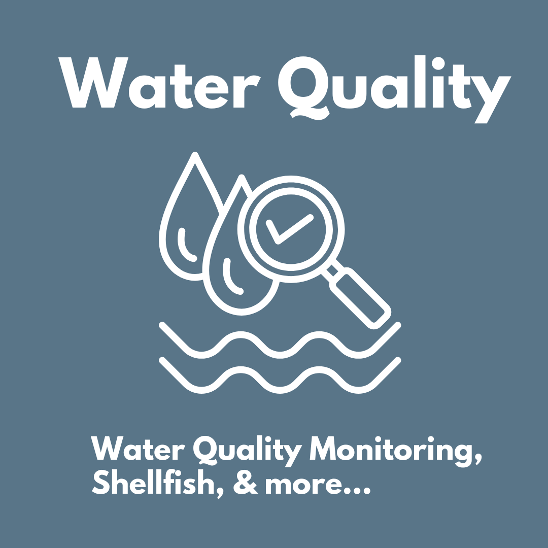 Water Quality