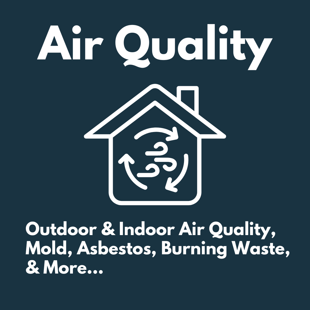 Air Quality Icon