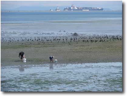 Two on the beach with Buckets