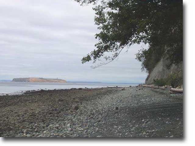 Beach Area Covered in Rocks