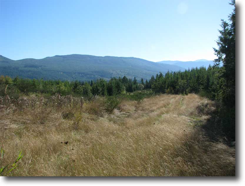 Rainshadow Disc Golf Park