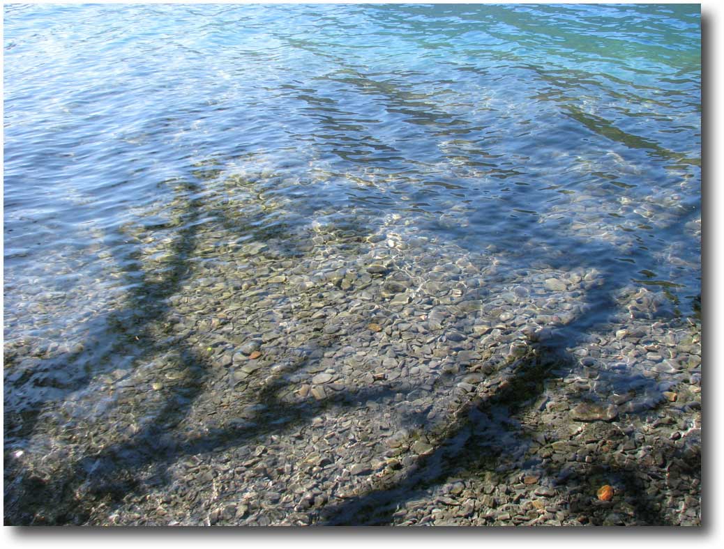 Eagle Point County Park Nearby the Water