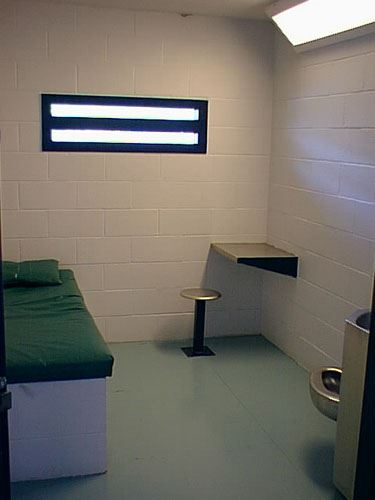 Inside of Single Cell Pod