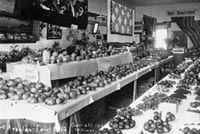 Agricultural Exhibit in Opera House