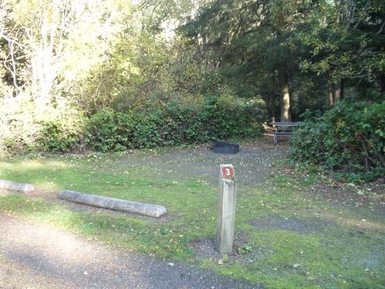 Dungeness Recreation Area Campsite for Site 3