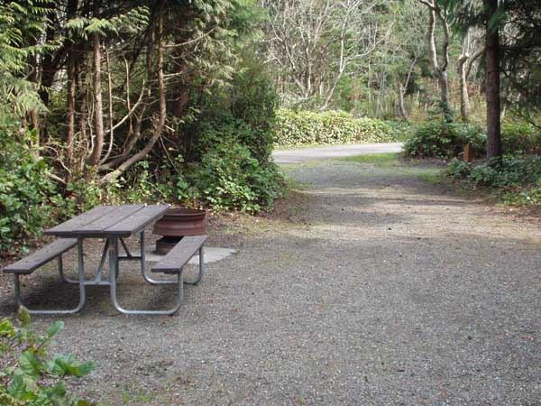 Dungeness Recreation Area Campsite for Site 7