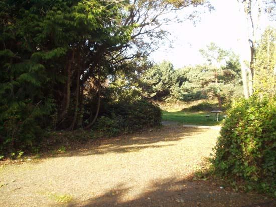 Dungeness Recreation Area Campsite for Site 8
