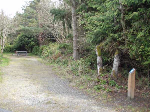Dungeness Recreation Area Campsite for Site 11