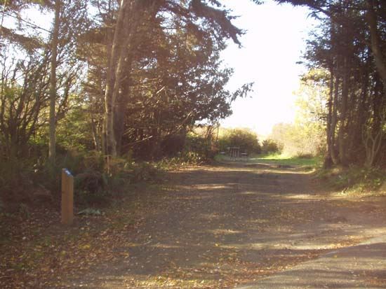 Dungeness Recreation Area Campsite for Site 13