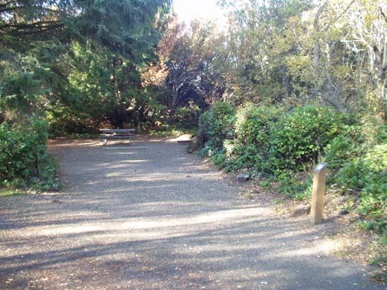 Dungeness Recreation Area Campsite for Site 15