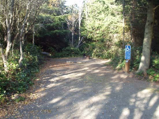 Dungeness Recreation Area Campsite for Site 17