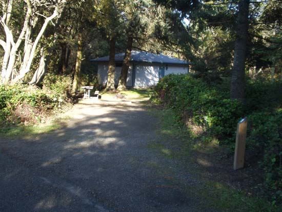 Dungeness Recreation Area Campsite for Site 19