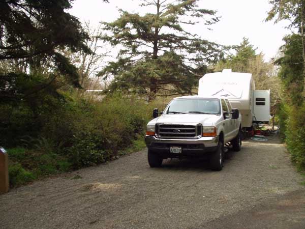 Dungeness Recreation Area Campsite for Site 21