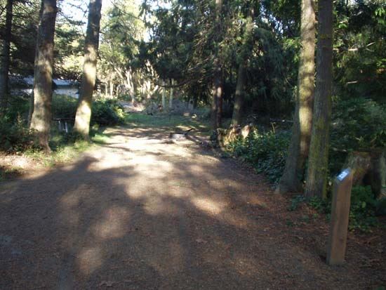 Dungeness Recreation Area Campsite for Site 20