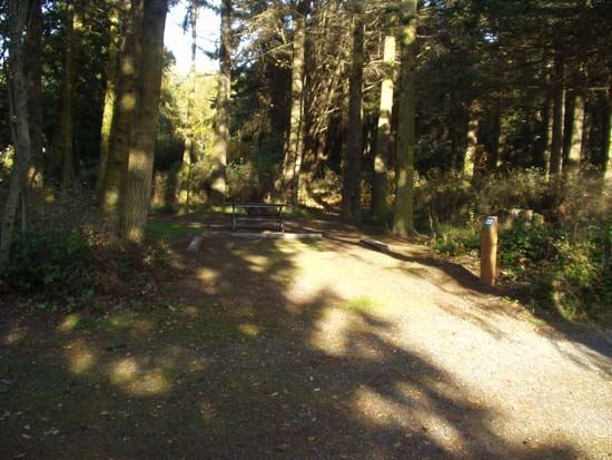 Dungeness Recreation Area Campsite for Site 23