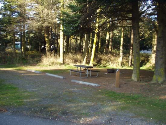 Dungeness Recreation Area Campsite for Site 24