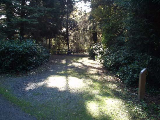 Dungeness Recreation Area Campsite for Site 27