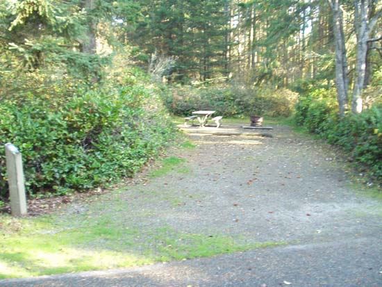 Dungeness Recreation Area Campsite for Site 28