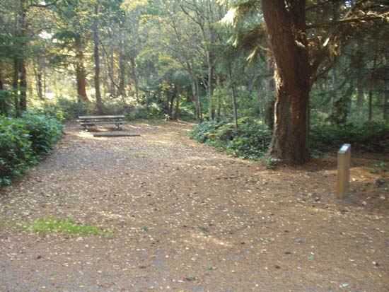 Dungeness Recreation Area Campsite for Site 29