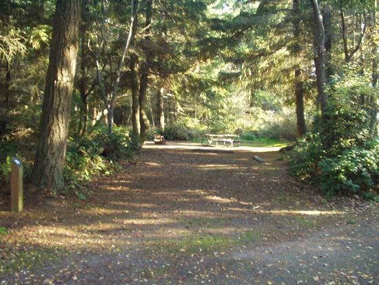 Dungeness Recreation Area Campsite for Site 30