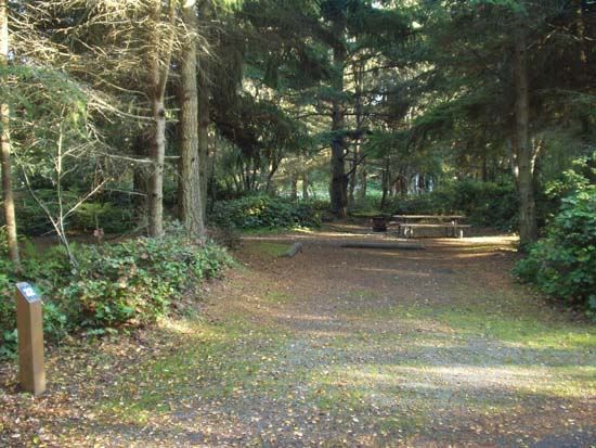 Dungeness Recreation Area Campsite for Site 32