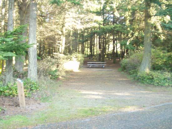 Dungeness Recreation Area Campsite for Site 35