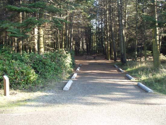 Dungeness Recreation Area Campsite for Site 36