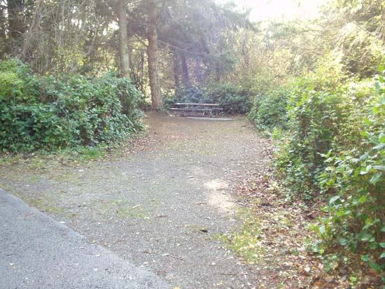 Dungeness Recreation Area Campsite for Site 39