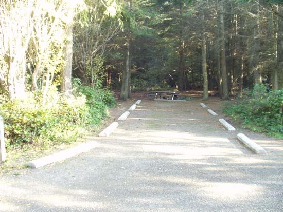 Dungeness Recreation Area Campsite for Site 41