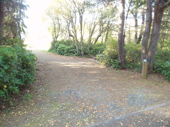 Dungeness Recreation Area Campsite for Site 42