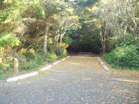 Dungeness Recreation Area Campsite for Site 44