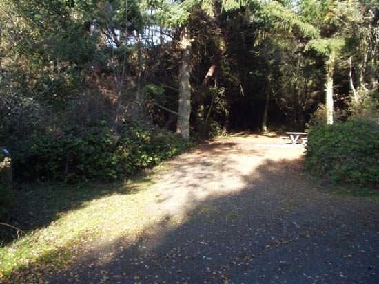 Dungeness Recreation Area Campsite for Site 46