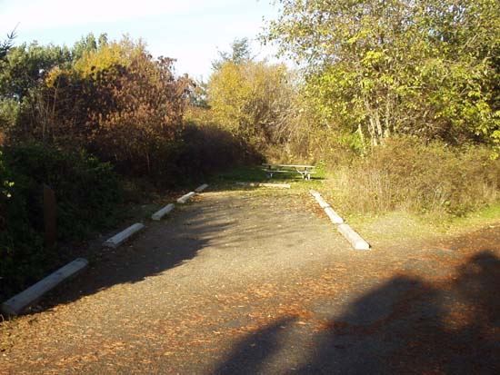 Dungeness Recreation Area Campsite for Site 47