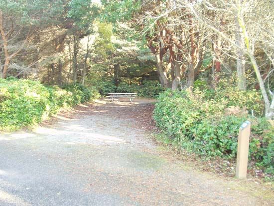 Dungeness Recreation Area Campsite for Site 48