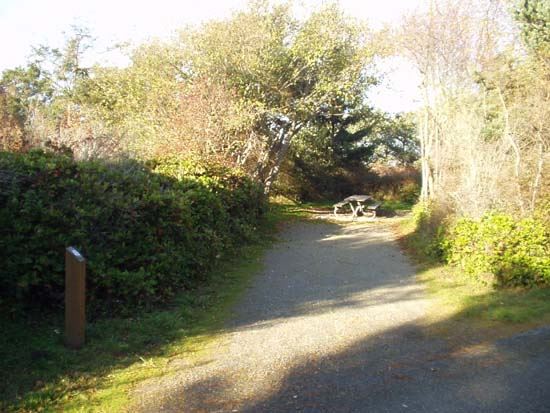 Dungeness Recreation Area Campsite for Site 49