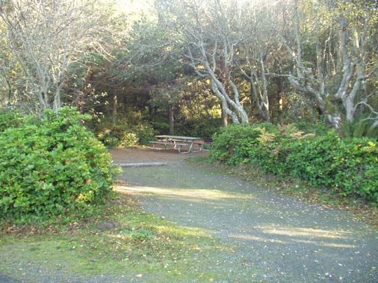 Dungeness Recreation Area Campsite for Site 50