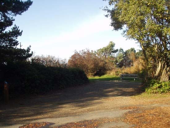 Dungeness Recreation Area Campsite for Site 51