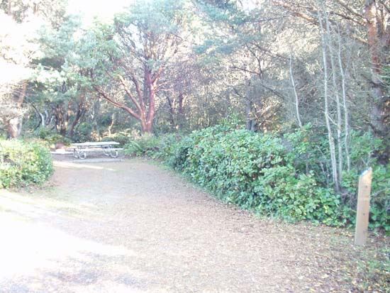 Dungeness Recreation Area Campsite for Site 52