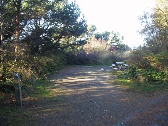 Dungeness Recreation Area Campsite for Site 53