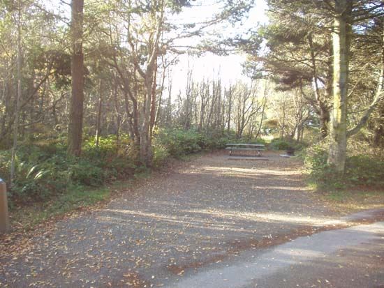 Dungeness Recreation Area Campsite for Site 55