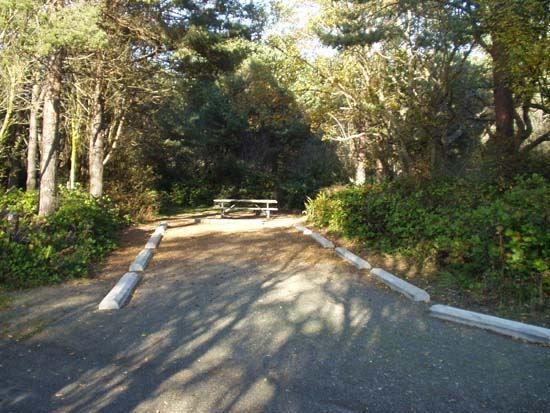 Dungeness Recreation Area Campsite for Site 56