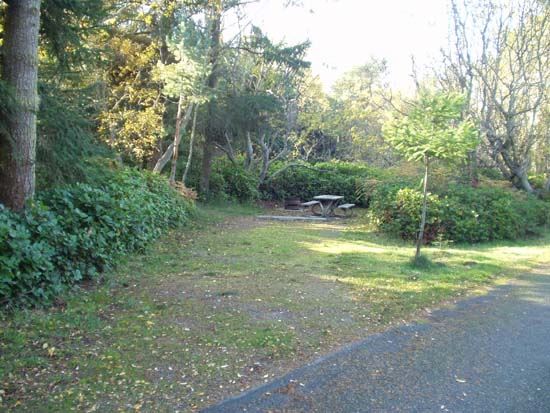 Dungeness Recreation Area Campsite for Site 57