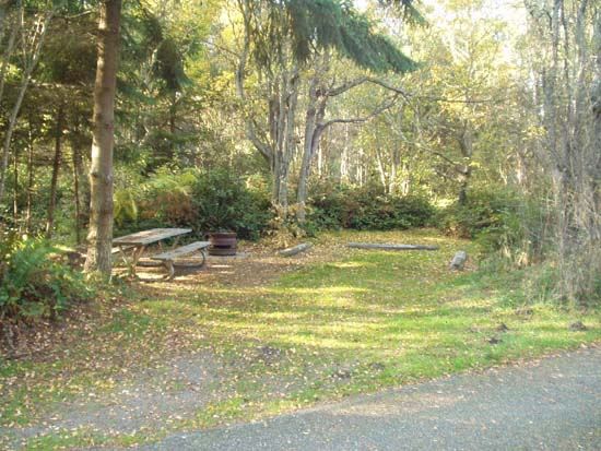 Dungeness Recreation Area Campsite for Site 59