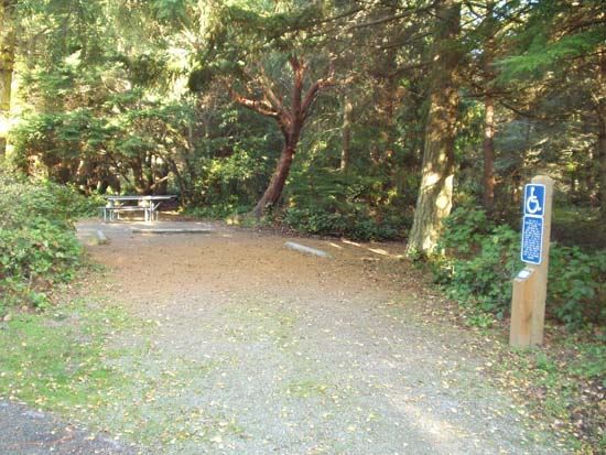 Dungeness Recreation Area Campsite for Site 60