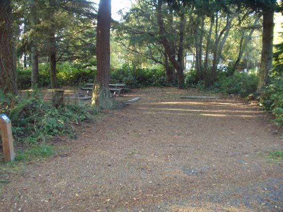 Dungeness Recreation Area Campsite for Site 63