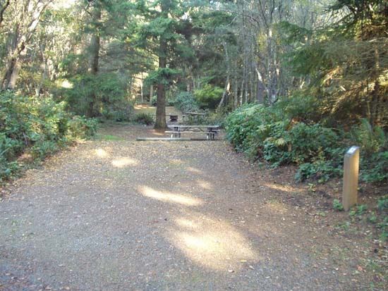 Dungeness Recreation Area Campsite for Site 62