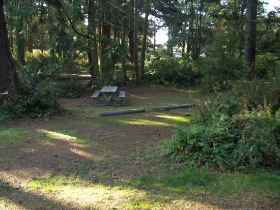 Dungeness Recreation Area Campsite for Site 64
