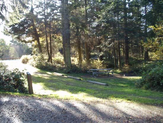 Dungeness Recreation Area Campsite for Site 66