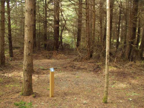 Dungeness Recreation Area Biker / Hiker Site A